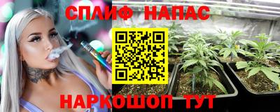 дмт Будённовск
