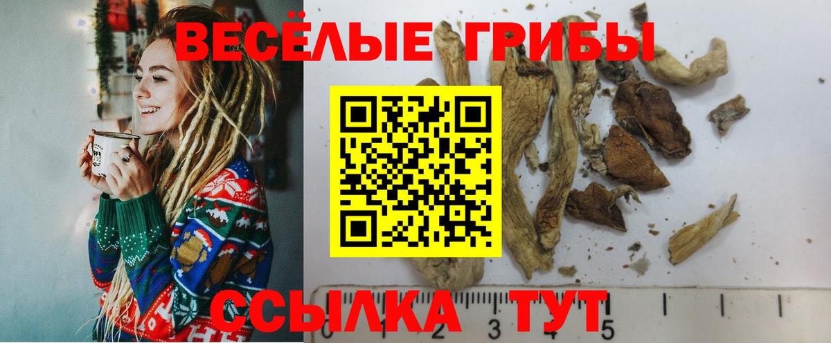 Галлюциногенные грибы прущие грибы Муравленко